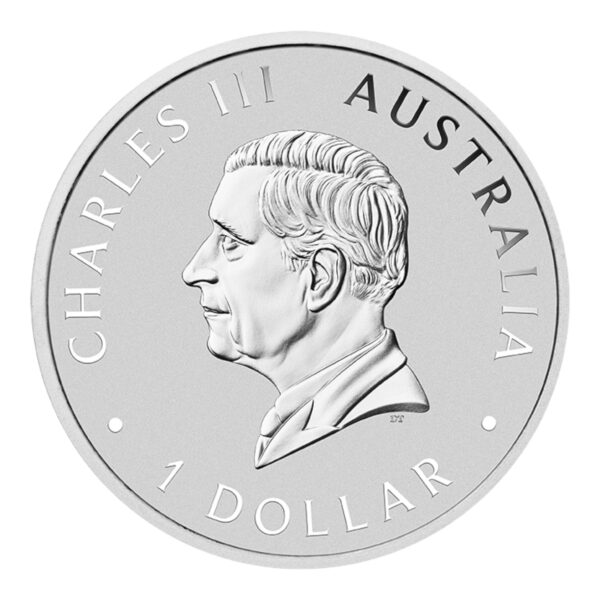 2025 ANDA Brisbane Money Expo - Perth Mint - Koala 1oz Silver Coloured Coin in Card - Image 3