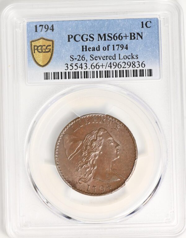 1794 FLOWING HAIR LARGE 1C, HEAD OF 1794, LIBERTY CAP, DEN MS66+ Brown