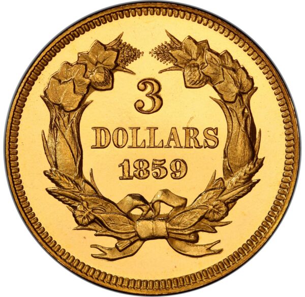 1859 INDIAN PRINCESS $3 PR66+ Deep Cameo - Image 2