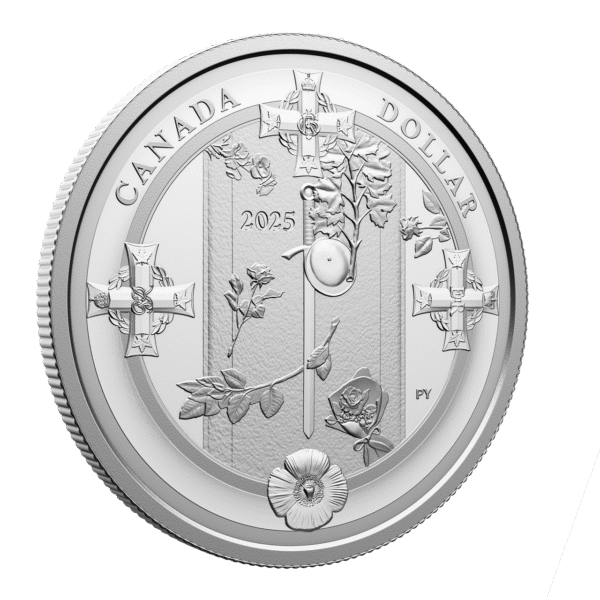 2025 Canada - Fine Silver Proof Dollar - Tomb of the Unknown Soldier (2000-2025) - Image 4