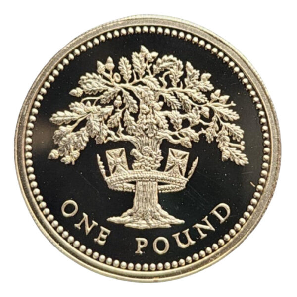 1987 Silver Proof Piedfort £1 Coin - Royal Diadem Series - English Oak - Image 2